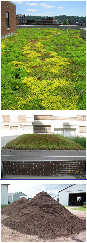 A green vegetated roof system